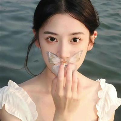 猫和老鼠在纽约